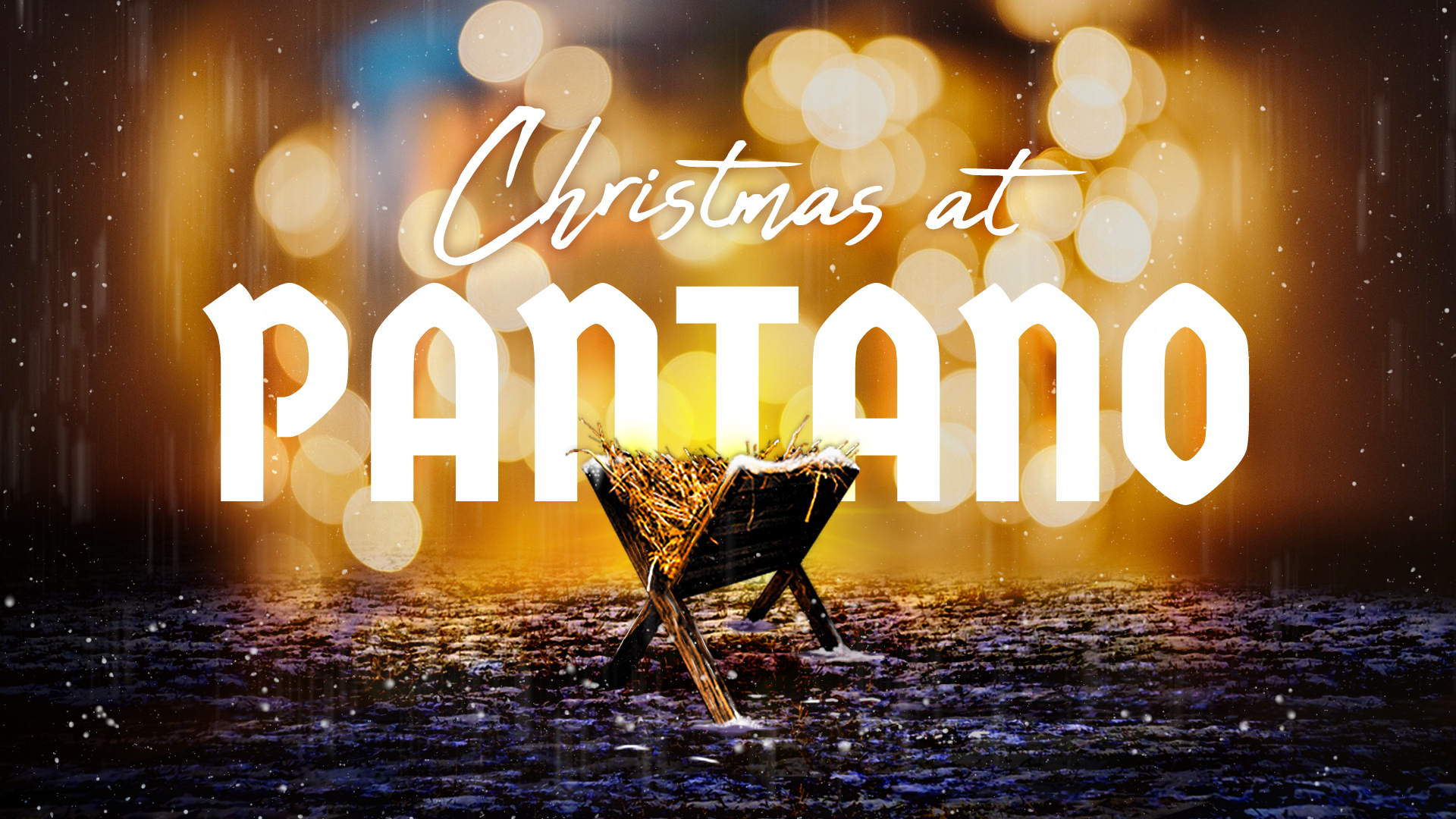Image: Christmas At Pantano